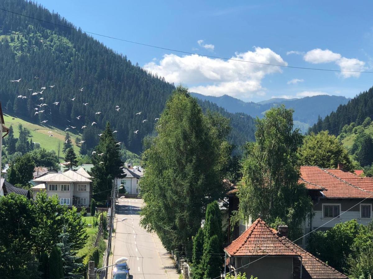 Bucovina View Apartment Câmpulung Moldovenesc Exteriör bild