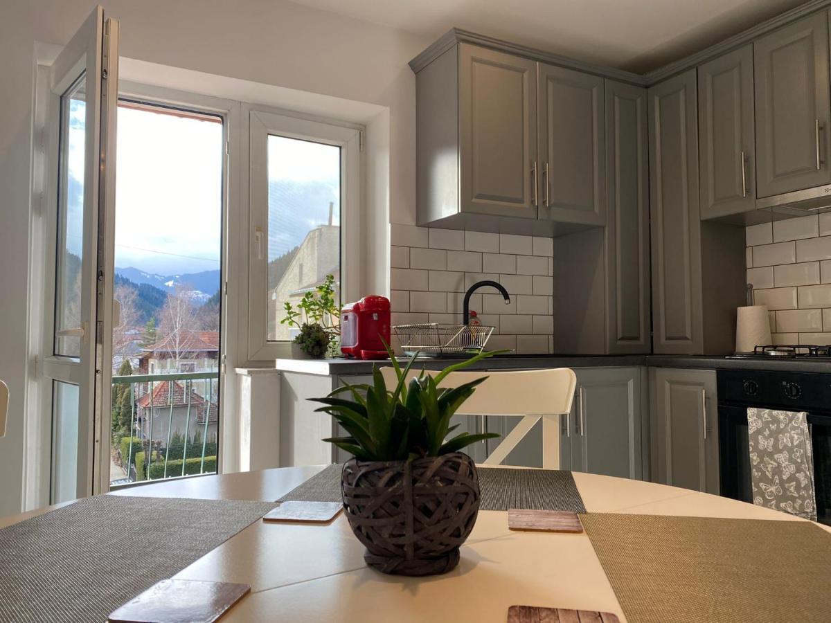 Bucovina View Apartment Câmpulung Moldovenesc Exteriör bild